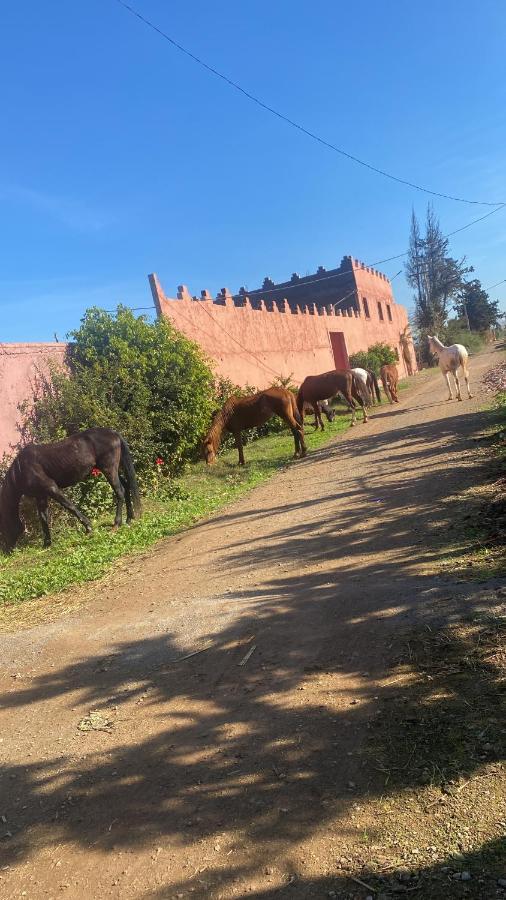 Gite Touristique Yassmine Madagh Bagian luar foto